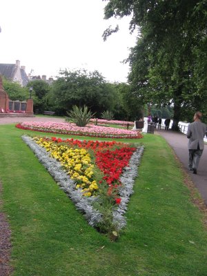 Flowers in Inverness