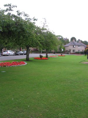 Flowers in Inverness