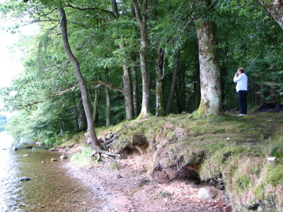 Shore of Loch Lomond