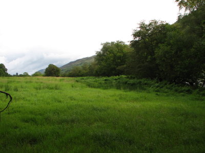 very green  view