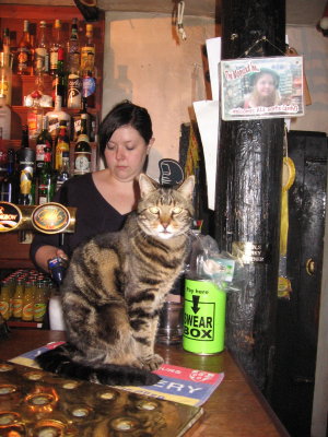 Moorcock Inn interior Cat friendly no dogs allowed