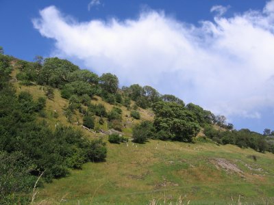 Yorkshire Dales