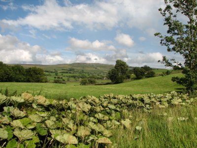 Yorkshire Dales