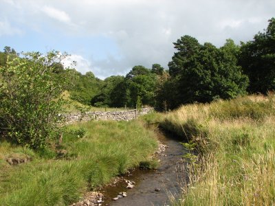 Yorkshire Dales