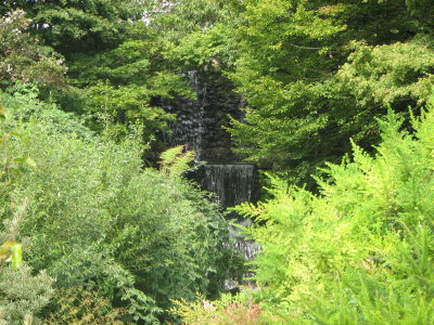Hyde Park stream