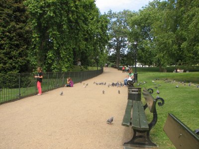 Feeding the birds