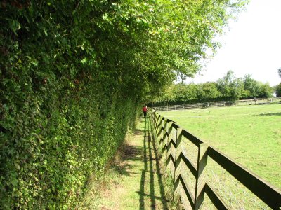 Path near post mill