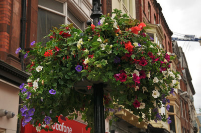 flowers on Grafton Street