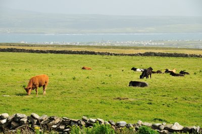 Cliffs of Moher