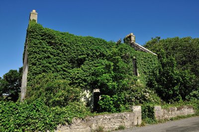 house in Kilronon