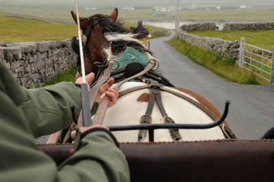 Bob the horse on our jaunting cart ride on Inishmore