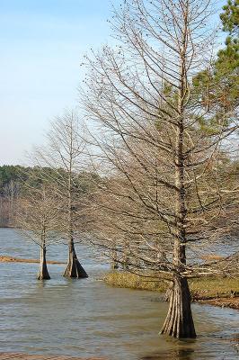 Crooked Creek, Louisiana