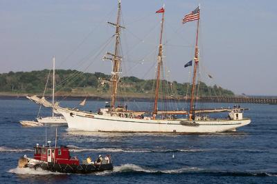 Gazela, tall ship, arriving