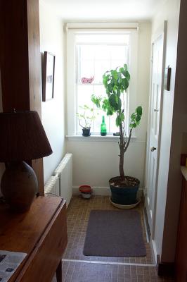 Back Entry