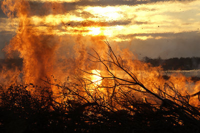 Burn Pile at Beach, with Setting Sun