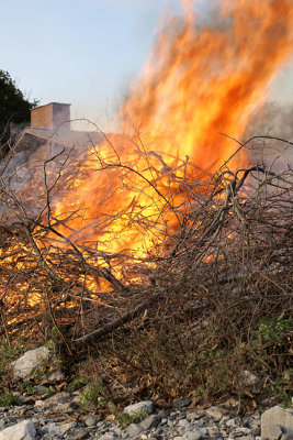 Burn Pile at Beach, Beard House in Background