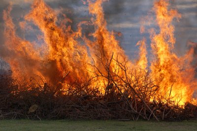 Burn Pile at Beach, Wall of Flame