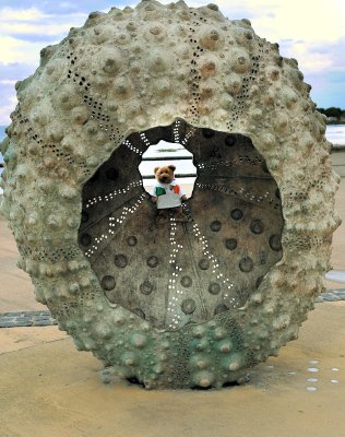 Pretending to be a sea-urchin in Dun Laoghaire