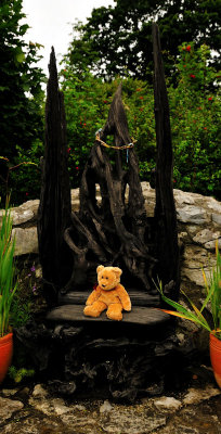 Achieving maturity in this special chair