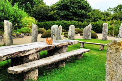 Thinking deep thoughts amid the Standing Stones