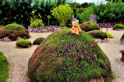 In the Lughnasa Garden, Brigit's Garden 