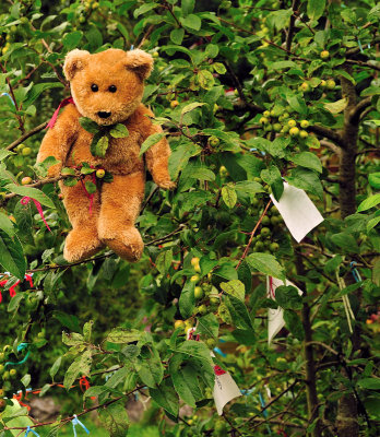 Making a wish in the wishing tree...