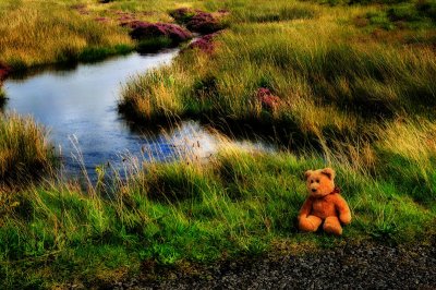This little stream holds a special place in Máire's childhood memories