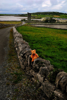 Sitting on Burren Stone.