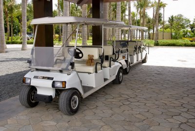 Just to get more pocket money,I work as a golf cart driver too...