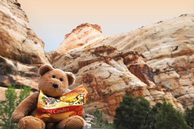Scrunch Scrunch ... Capitol Reef behind me !