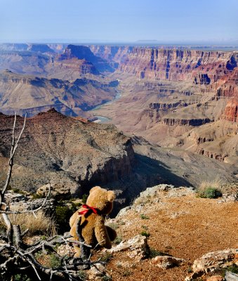 From here, we have a good view of the Colorado River!
