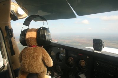 Pilot view 