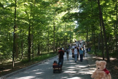 Typical pathway through zoo.