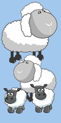 Css sheep.jpg