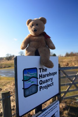 The Harehope Quarry Projectionist