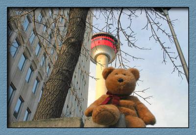 Let's go up in the Calgary Tower!!!!