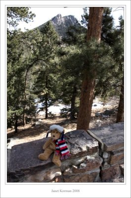 I don't think there are bears in Estes Park...Well, maybe one!