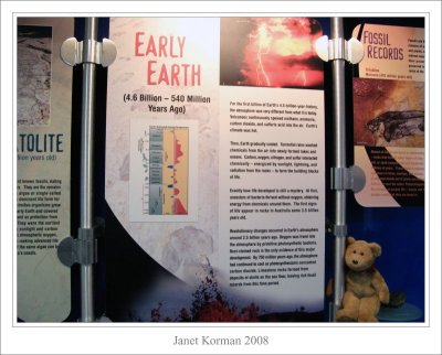 I'm always fascinated by studying the evolution of earth...