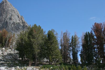 IMG_5619.jpg