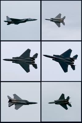 f15 collage.jpg