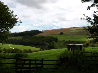 landscape