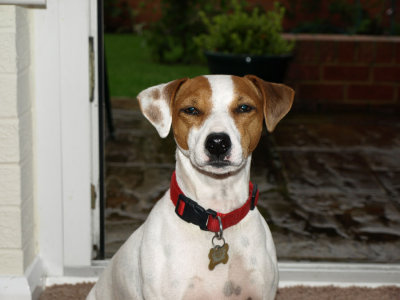 ruby waiting for the rain to stop.