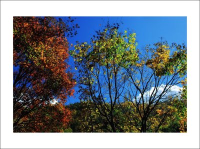 DSC_0015m.jpg