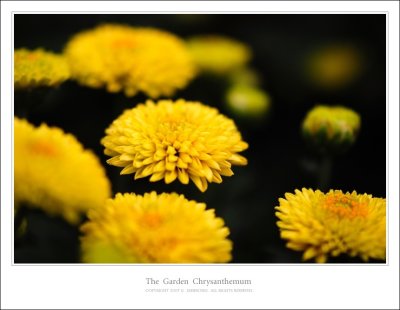 DSC_0276.jpg