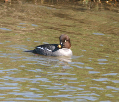 g3/03/534603/3/55952309.IMG_3527_edited1.jpg