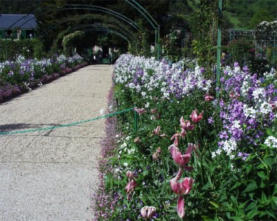 Flowers and path