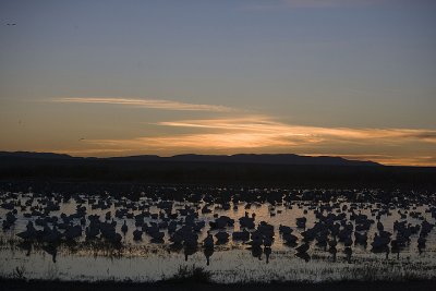 Railroad Ponds at dawn
