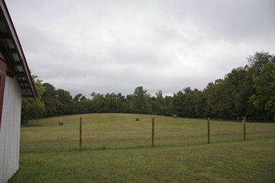 back pasture