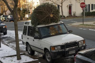 Christmas Tree loaded