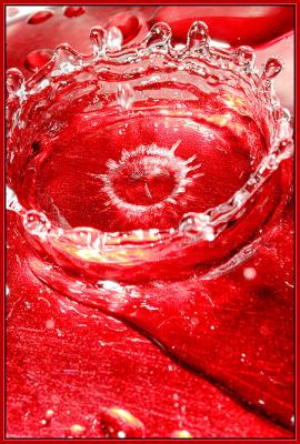 Splash of Red 4 IMG_8030